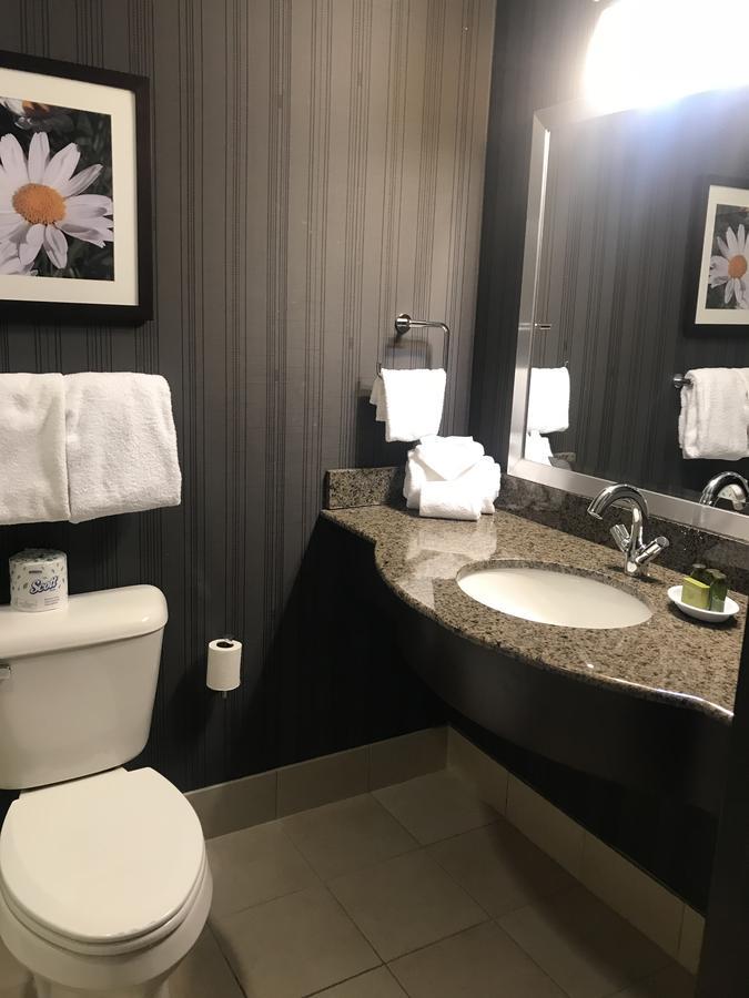 Soaring Eagle Waterpark And Hotel Mount Pleasant Luaran gambar